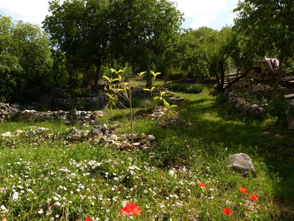 Apartments Lavanda & Divona Sibenik Bagian luar foto